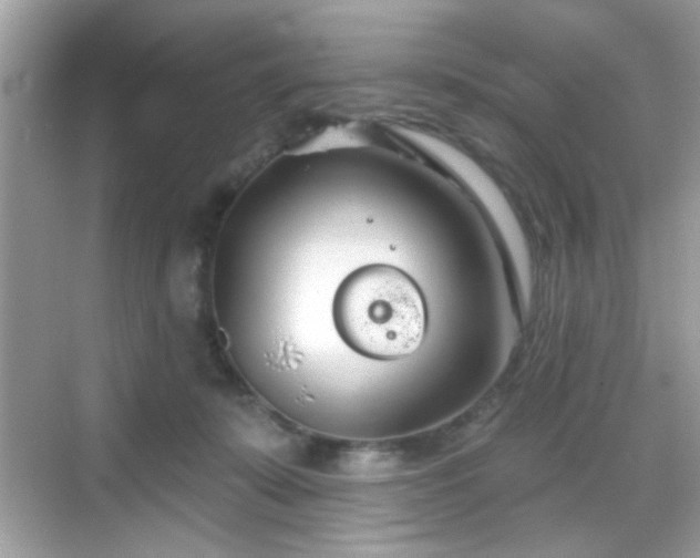 X0000069360319200605121123