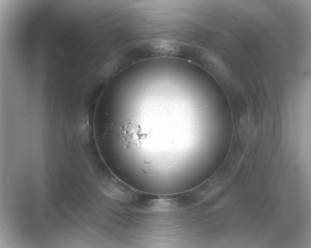 X0000069360320200605121123