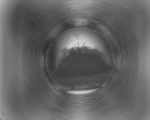 X0000069360327200605121123