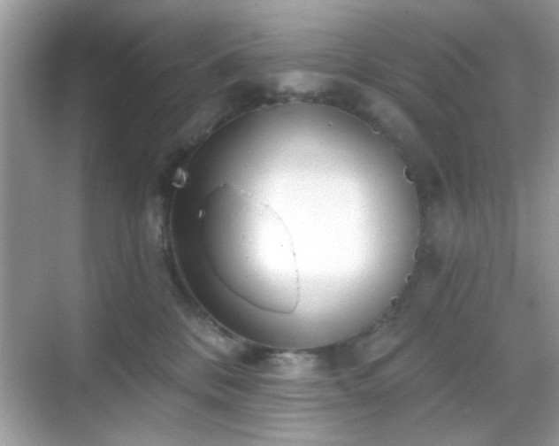 X0000069360328200605121123