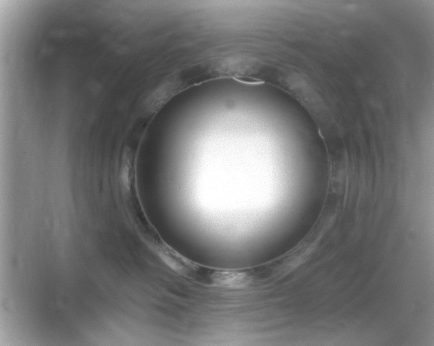 X0000069360334200605121123