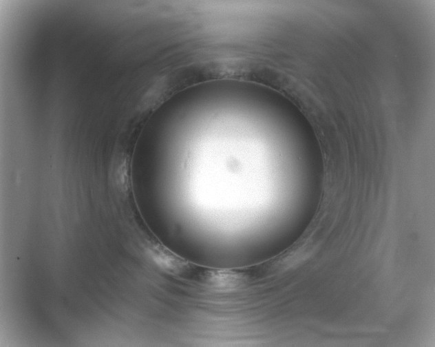 X0000069360336200605121123