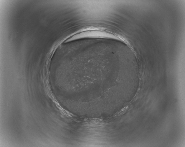 X0000069360337200605121122