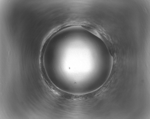 X0000069360340200605121122