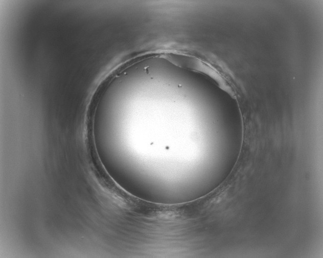 X0000069360344200605121122