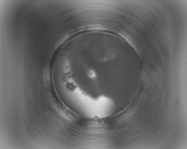 X0000069360347200605121122