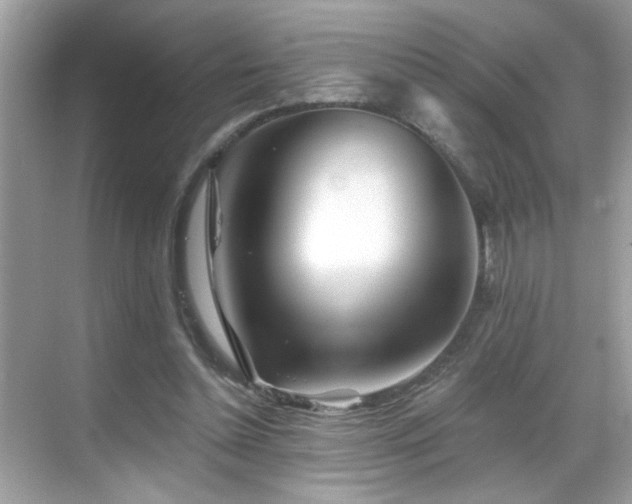 X0000069360348200605121122