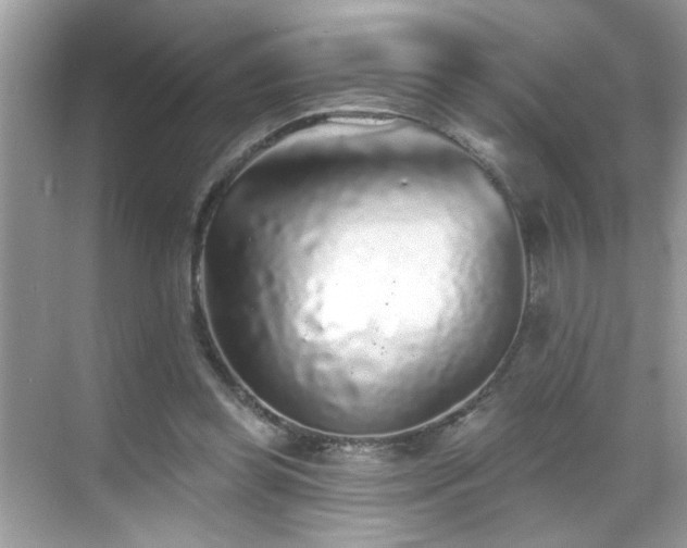 X0000069360349200605121122