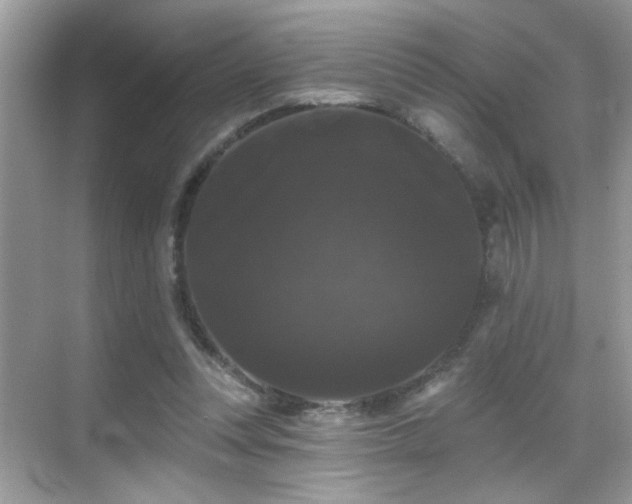 X0000069360351200605121122