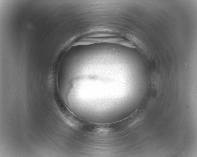 X0000069360352200605121122