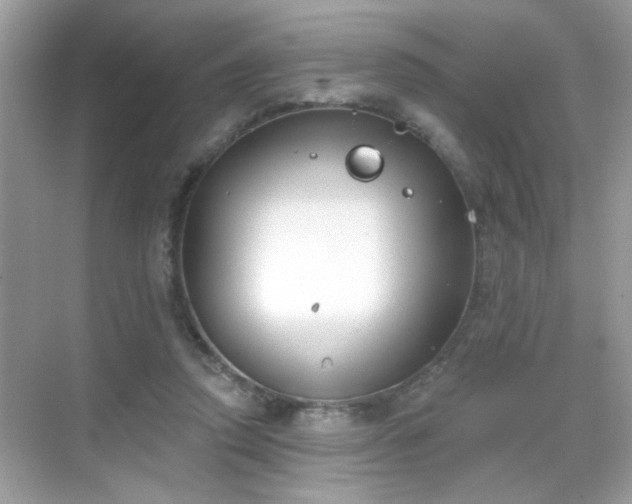 X0000069360354200605121122