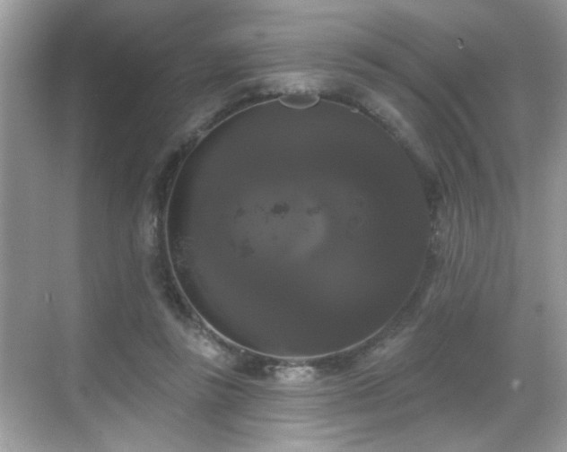 X0000069360355200605121122