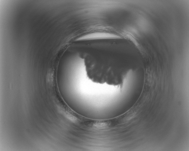 X0000069360357200605121122