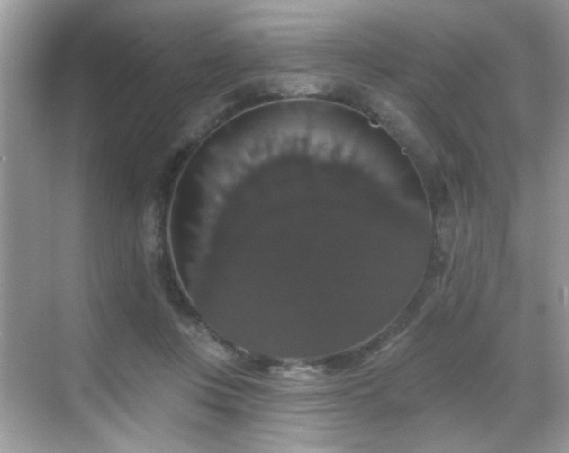 X0000069360359200605121122