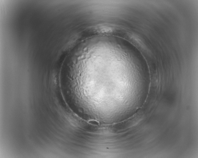 X0000069360363200605121123