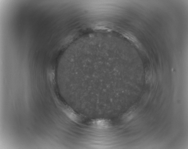 X0000069360365200605121123