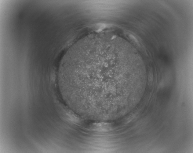 X0000069360367200605121123