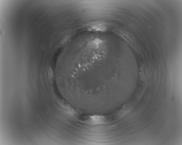 X0000069360371200605121123