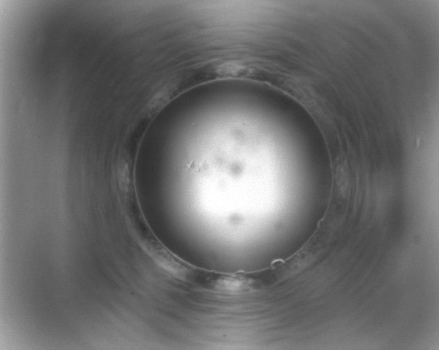 X0000069360375200605121123