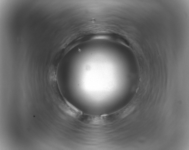 X0000069360384200605121123