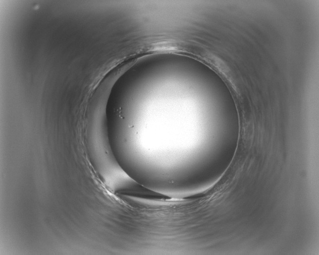 X0000069360385200605121122