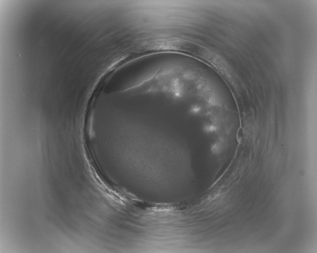 X0000069360386200605121122