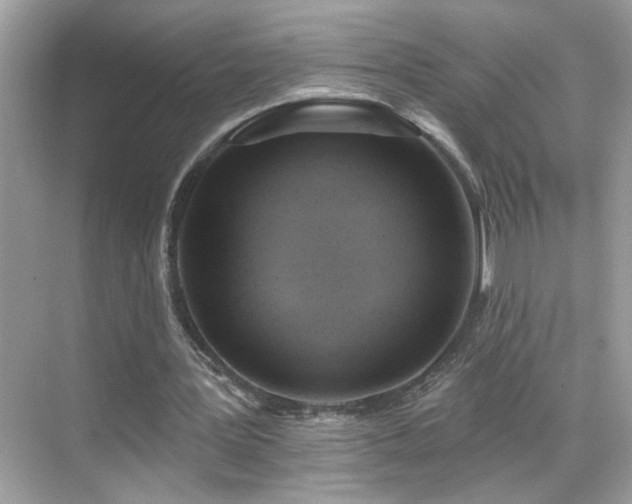 X0000069360387200605121122