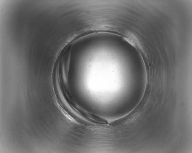 X0000069360389200605121122