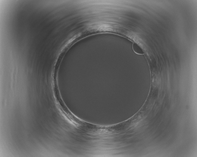 X0000069360390200605121122