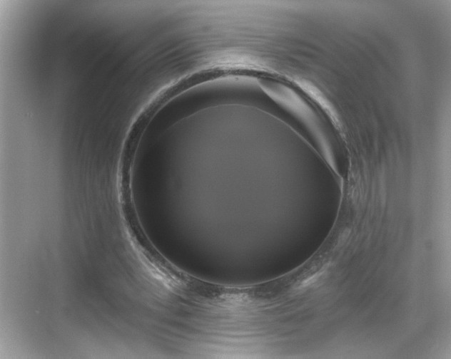 X0000069360391200605121122