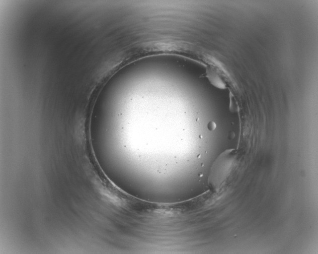 X0000069360394200605121122