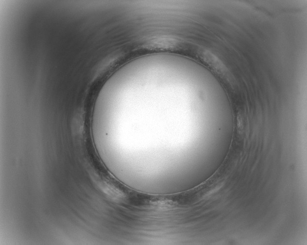 X0000069360396200605121122