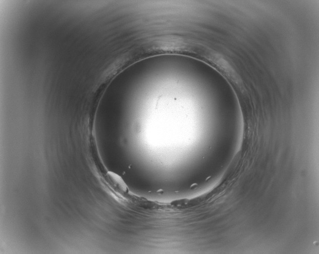 X0000069360397200605121122