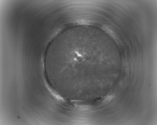 X0000069360398200605121122