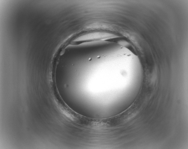 X0000069360399200605121122