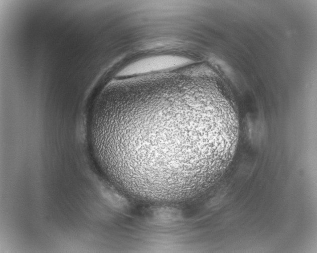 X0000069360400200605121122