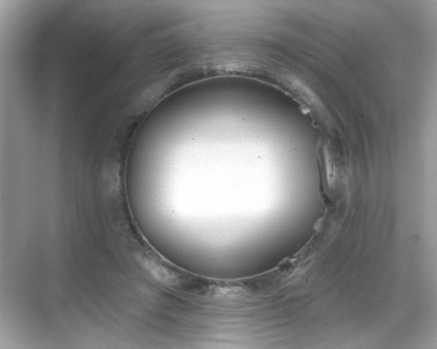 X0000069360401200605121122