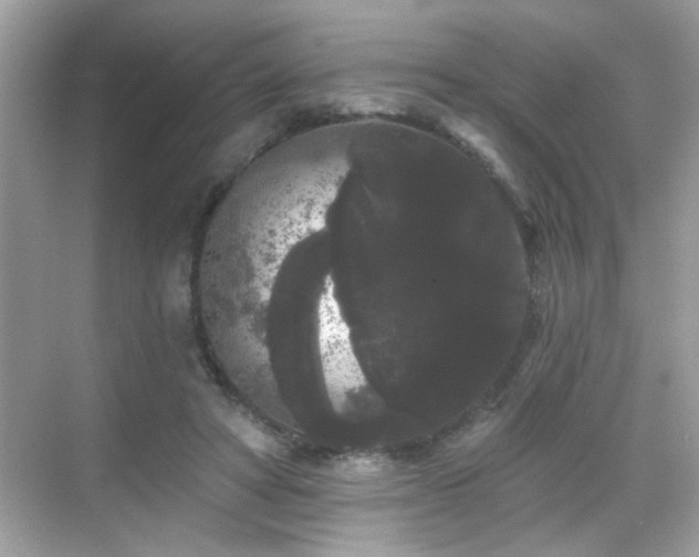 X0000069360402200605121122