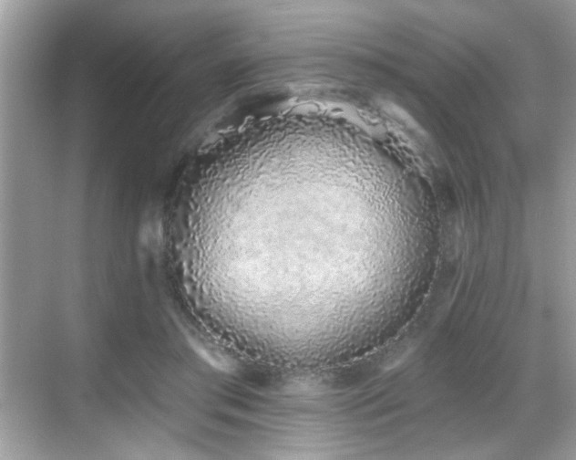 X0000069360405200605121122