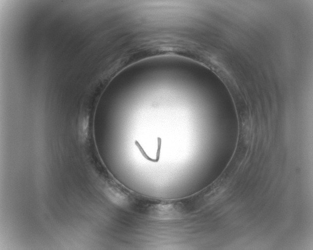 X0000069360406200605121122