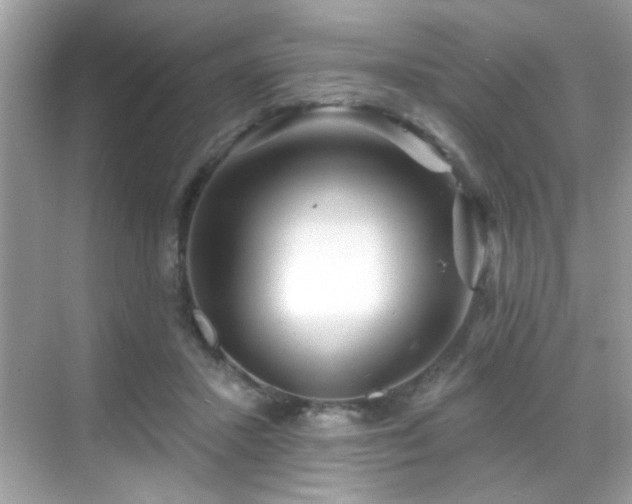 X0000069360407200605121122