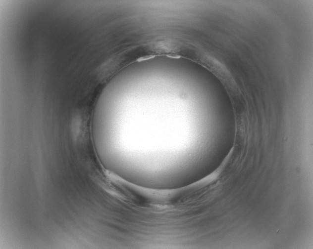 X0000069360409200605121122