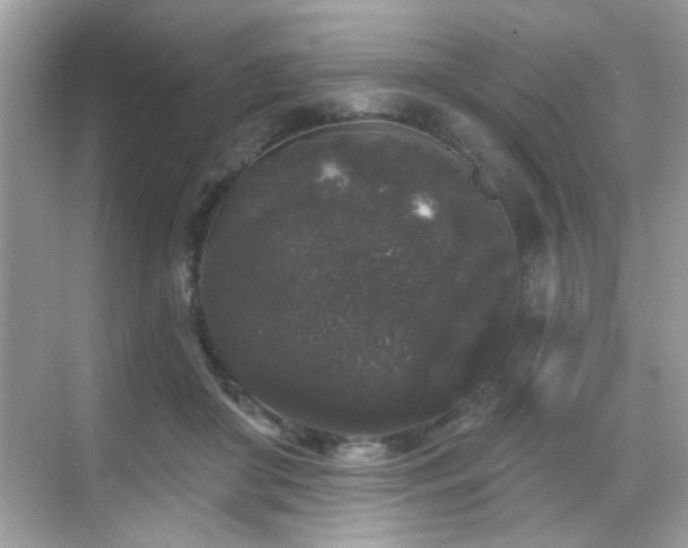 X0000069360410200605121122