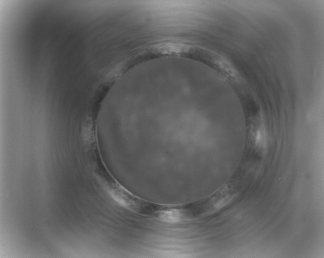 X0000069360411200605121122