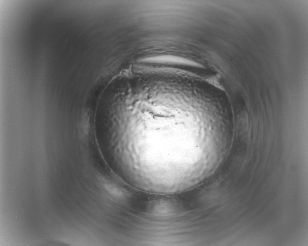 X0000069360412200605121122