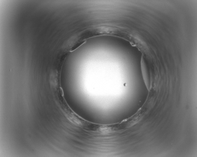 X0000069360413200605121122