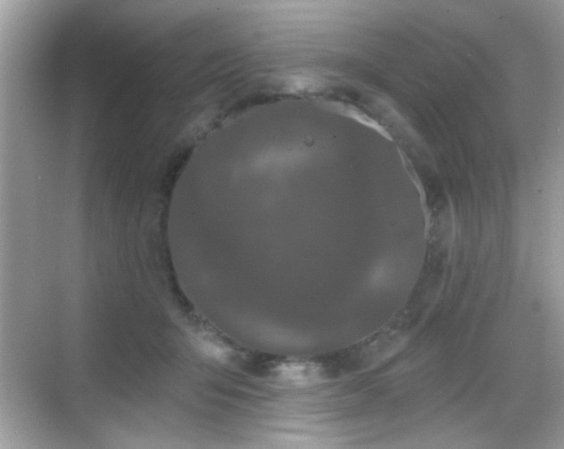 X0000069360415200605121122