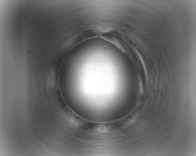 X0000069360416200605121122