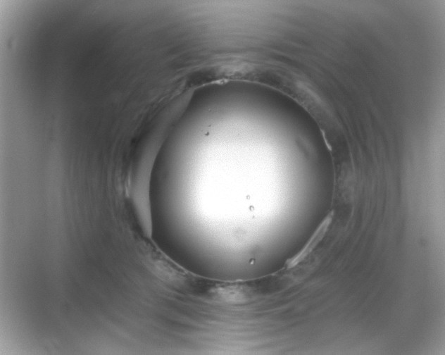 X0000069360417200605121122