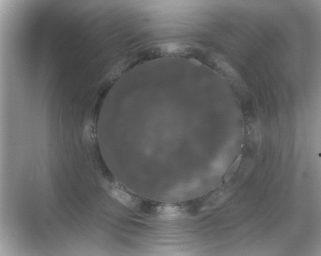 X0000069360419200605121122